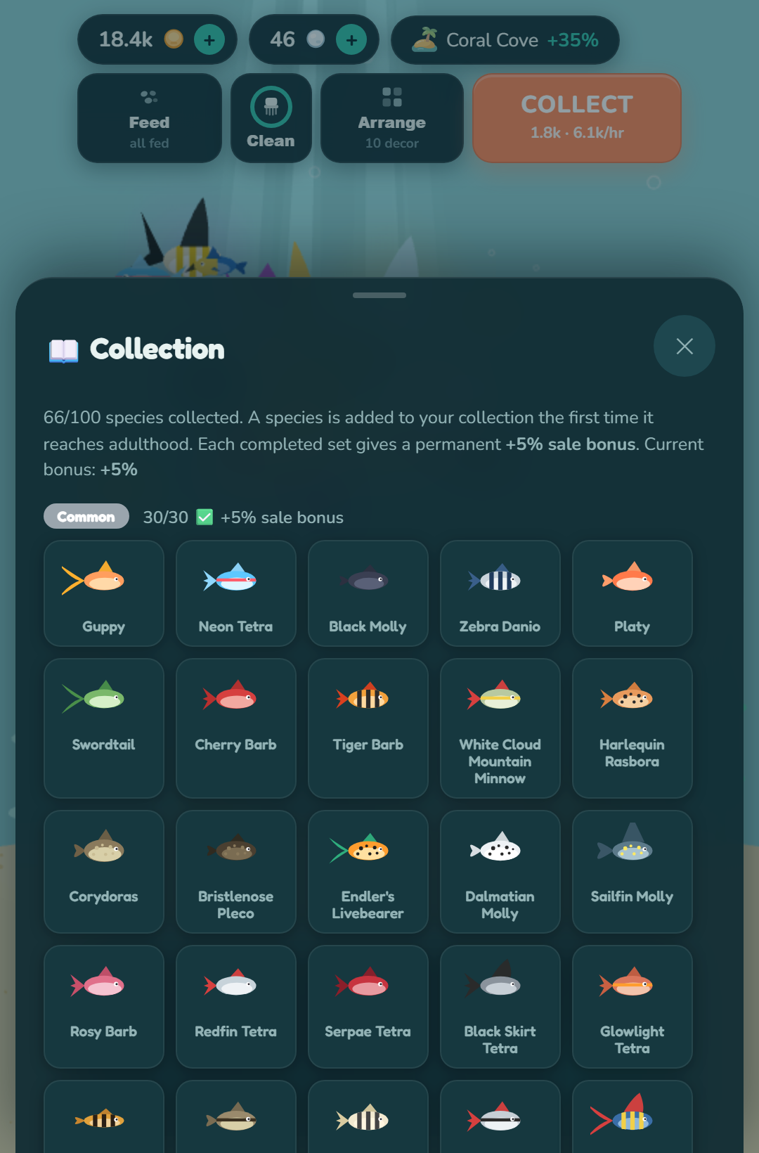 Reefy — collection